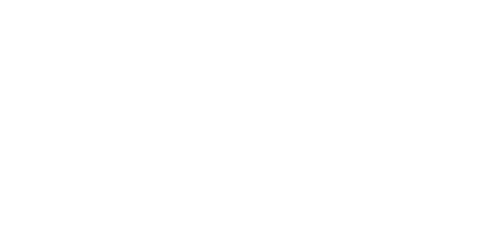 Conecta Bags